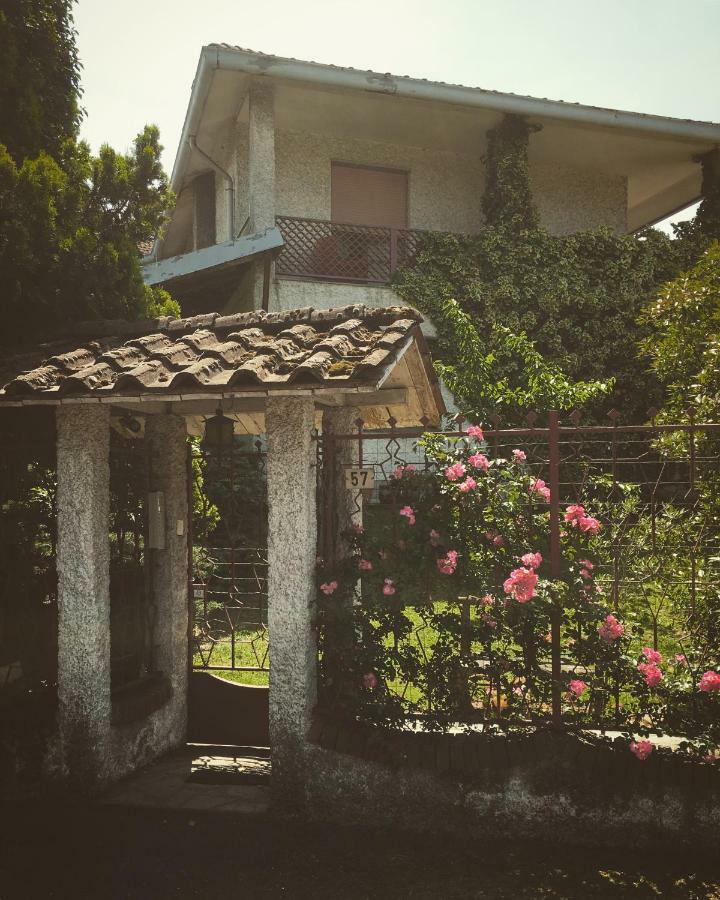 Sunny Family Apartment In Villa - Humanitas Forum Ieo Pieve Emanuele Ngoại thất bức ảnh